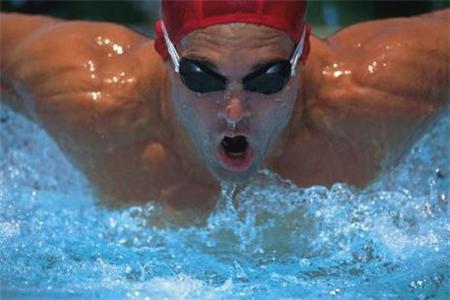 swimmingbutterfly[1].jpg